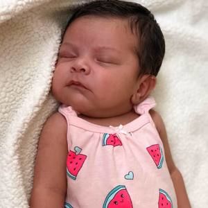 Meet your Posher, Dolores